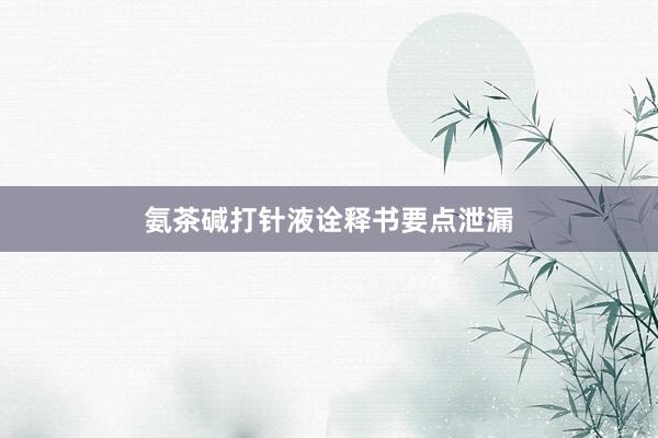 氨茶碱打针液诠释书要点泄漏