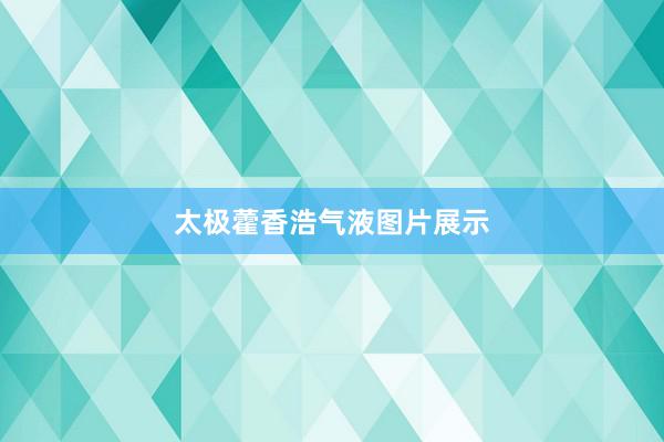 太极藿香浩气液图片展示